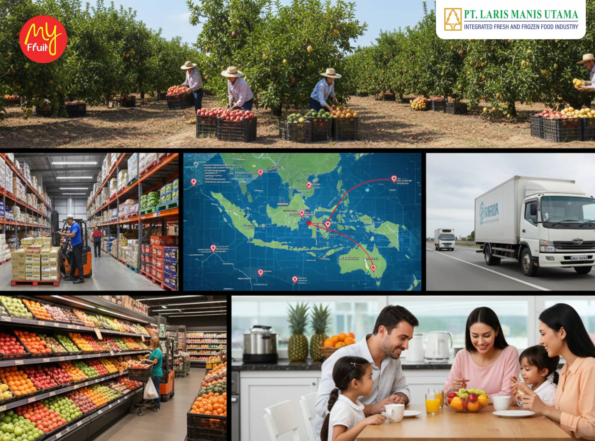 Mengenal Dunia Buah dan Distribusinya: Dari Kebun hingga Meja Makan