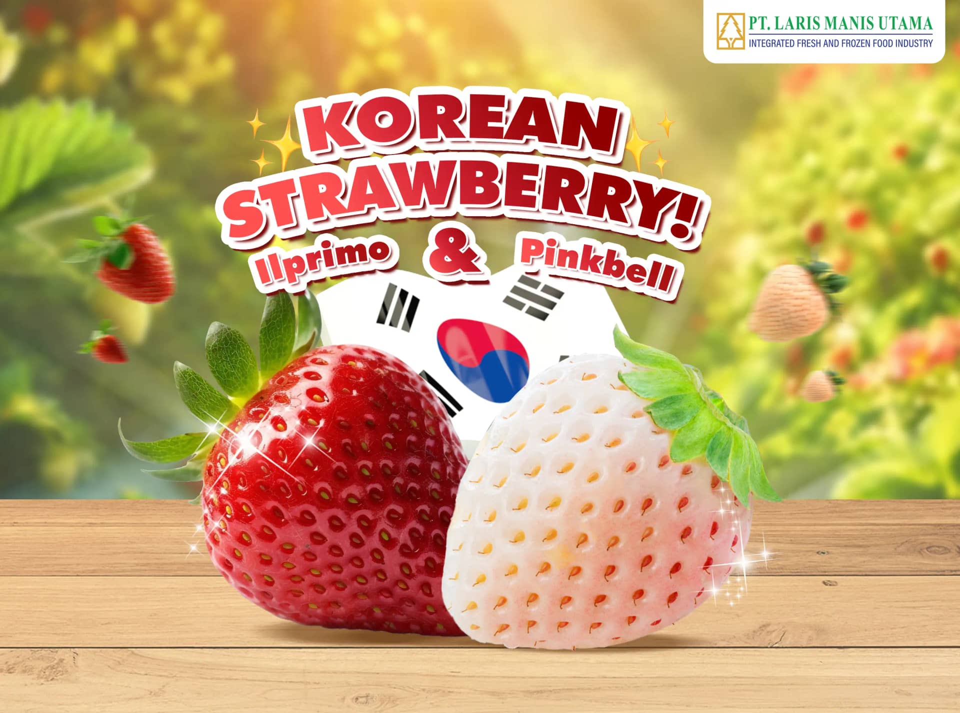 PT Laris Manis Utama Hadirkan Korean Strawberry Premium ilPrimo dan Pinkbell untuk Pasar Indonesia