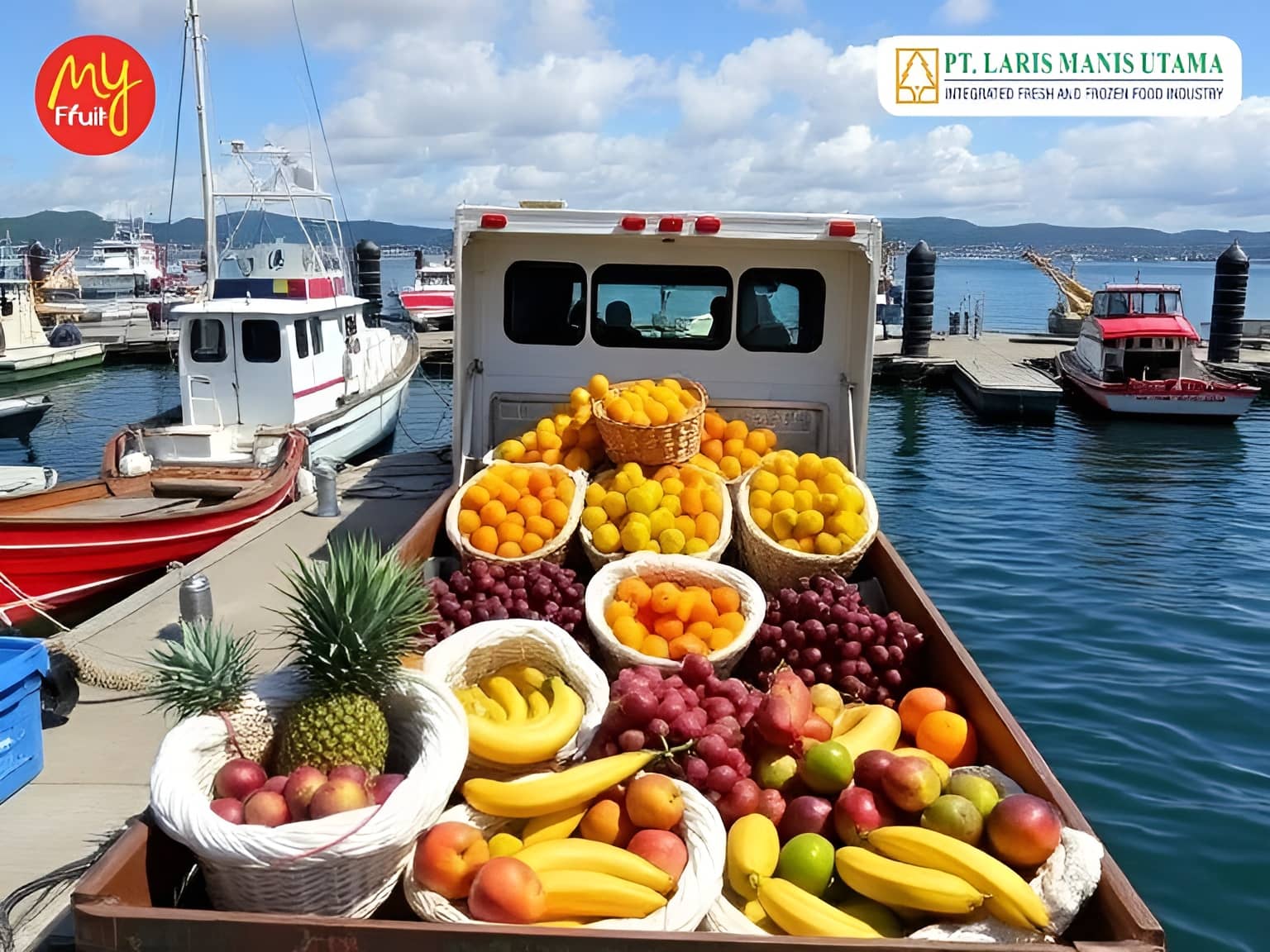 Kenapa Beli Buah dari Supplier Buah Profesional Kualitasnya Jauh Lebih Terjaga