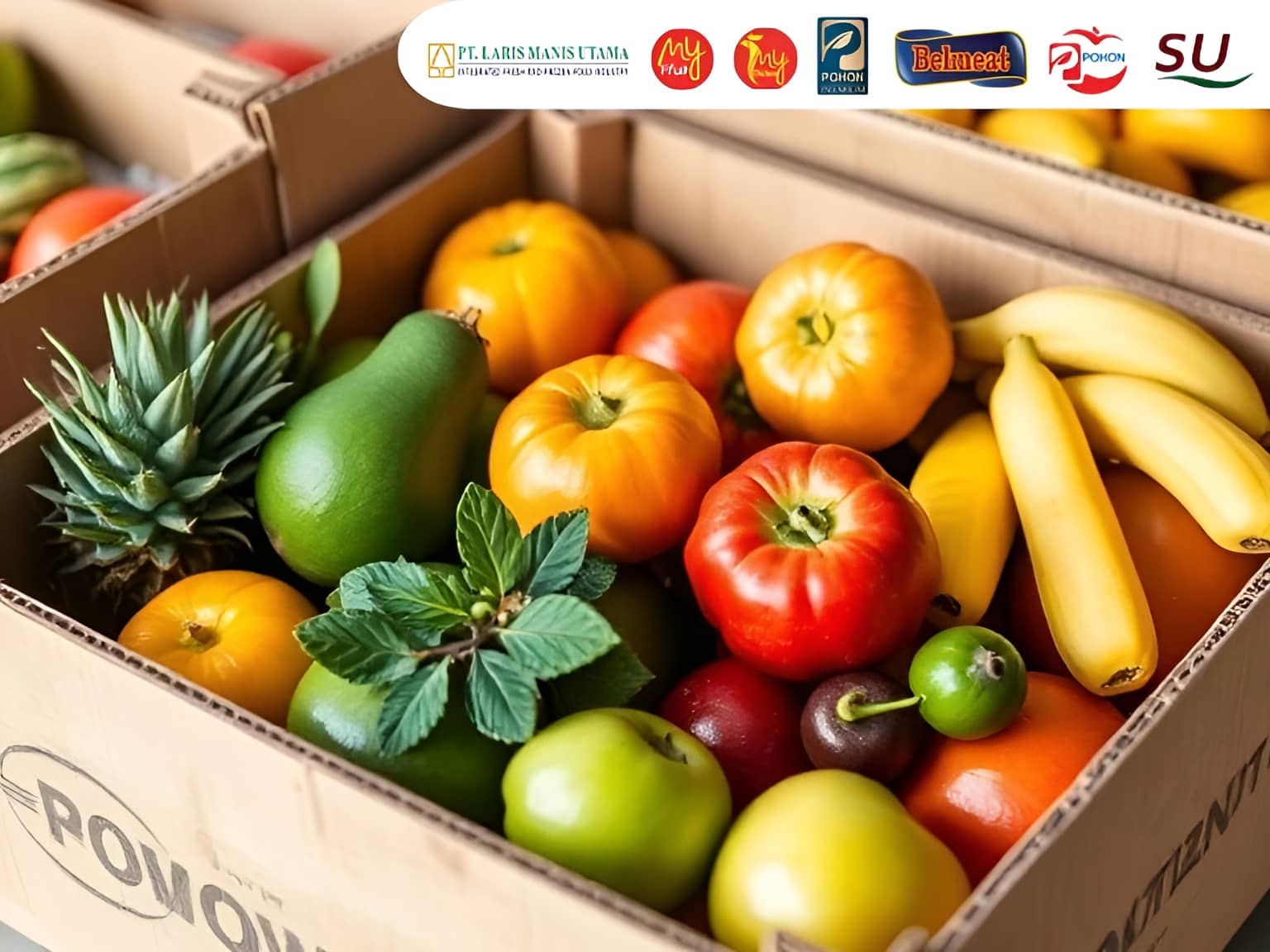 Indonesia Fruit Market: Import Trends, Consumer Demand and Key Players