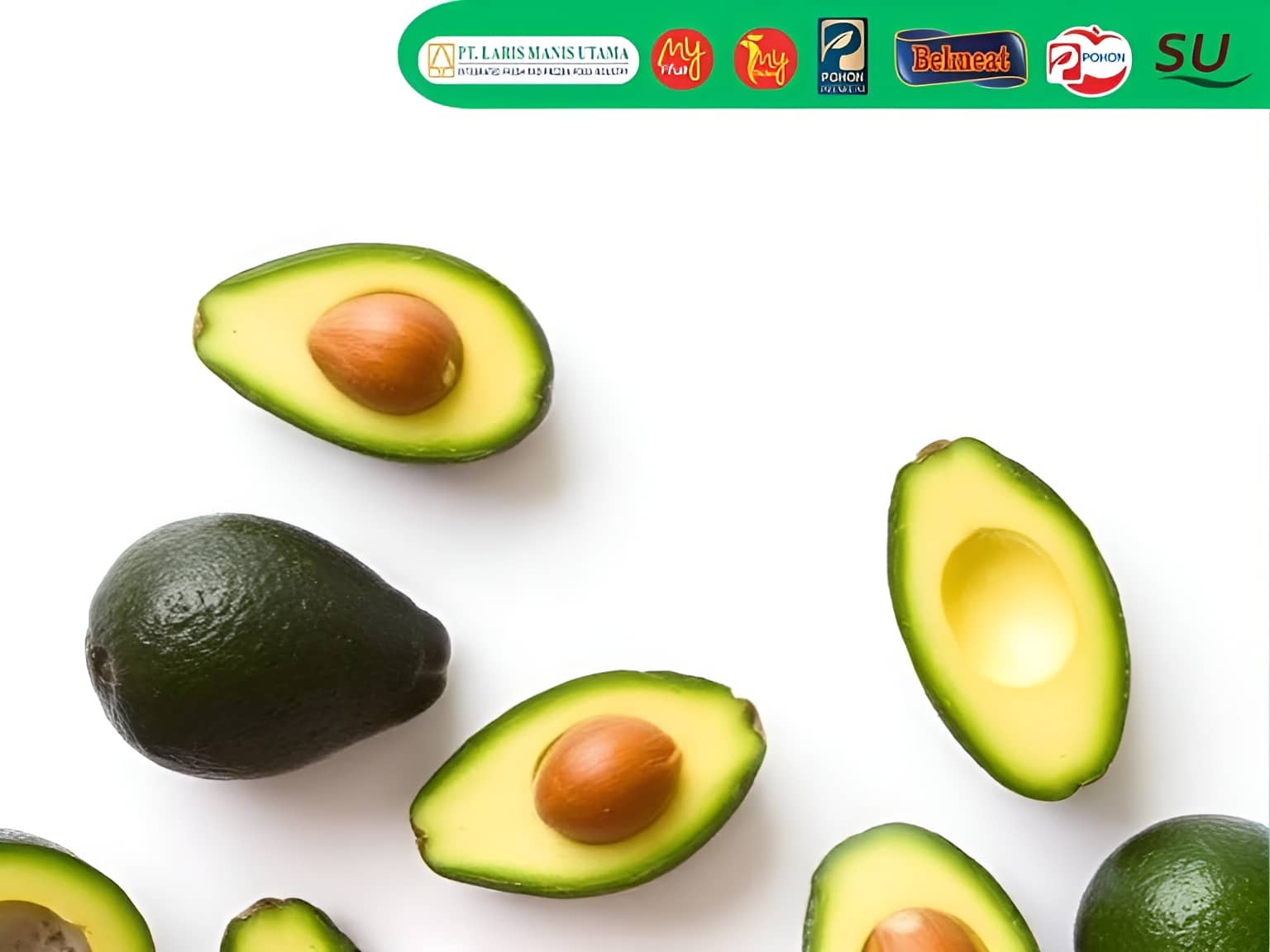 Alpukat Hass Manfaat, Nutrisi, dan Supplier Terpercaya di Indonesia
