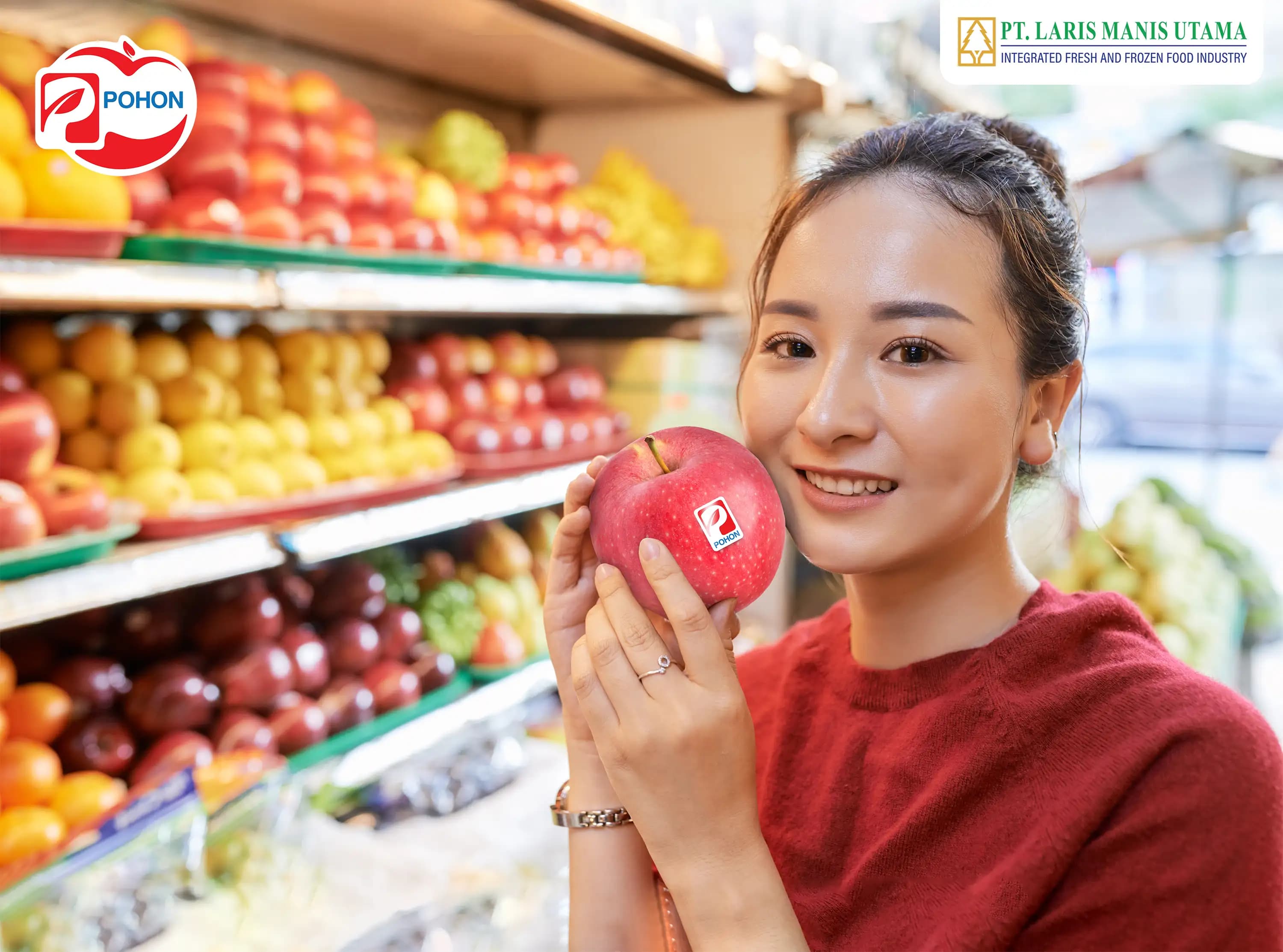 Distributor Buah Impor: Solusi Kebutuhan Retail dan Horeka