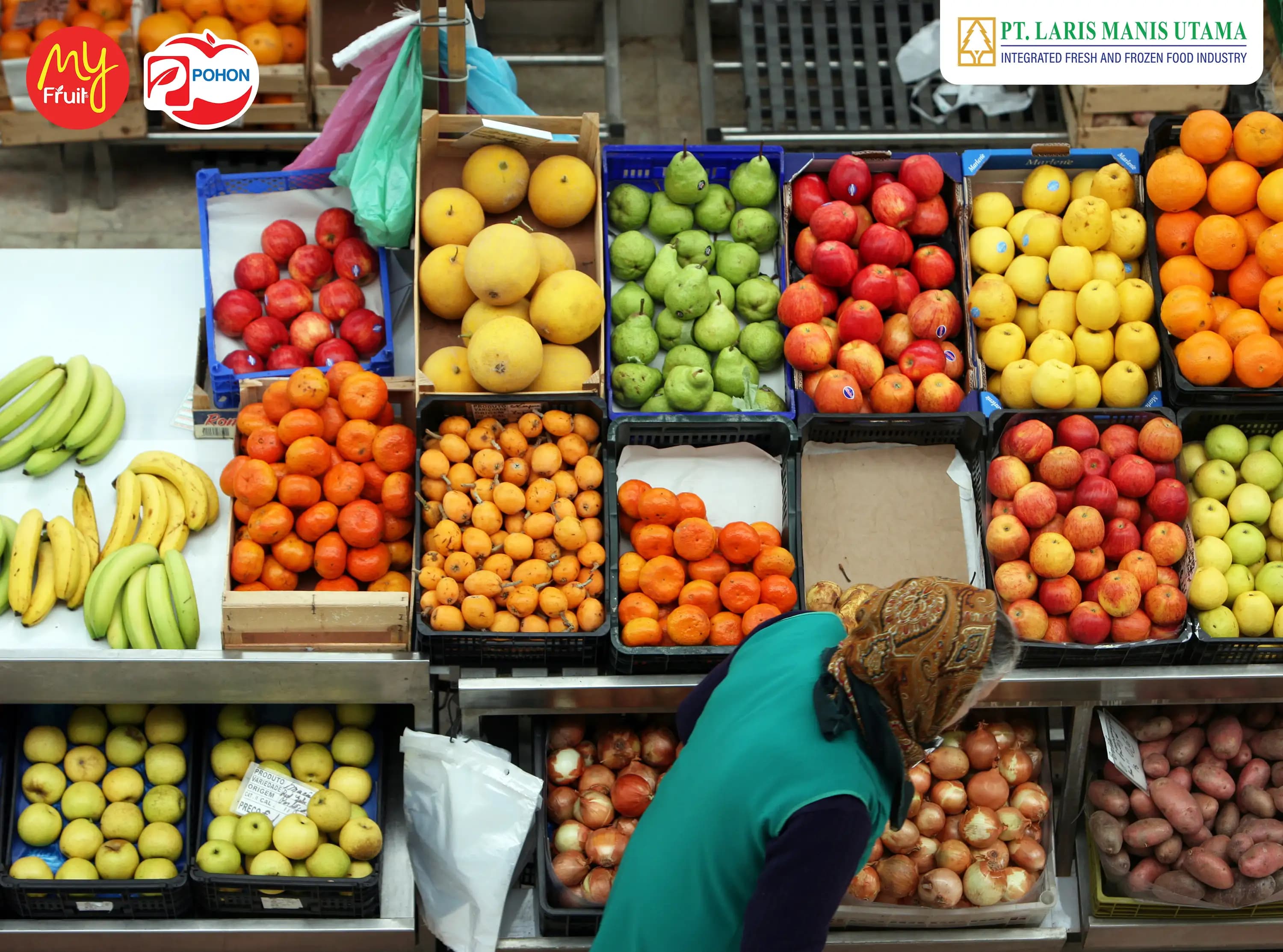 Peran Vital Distributor Buah Import dalam Mendukung Ketahanan Pangan dan Keberagaman Pasar