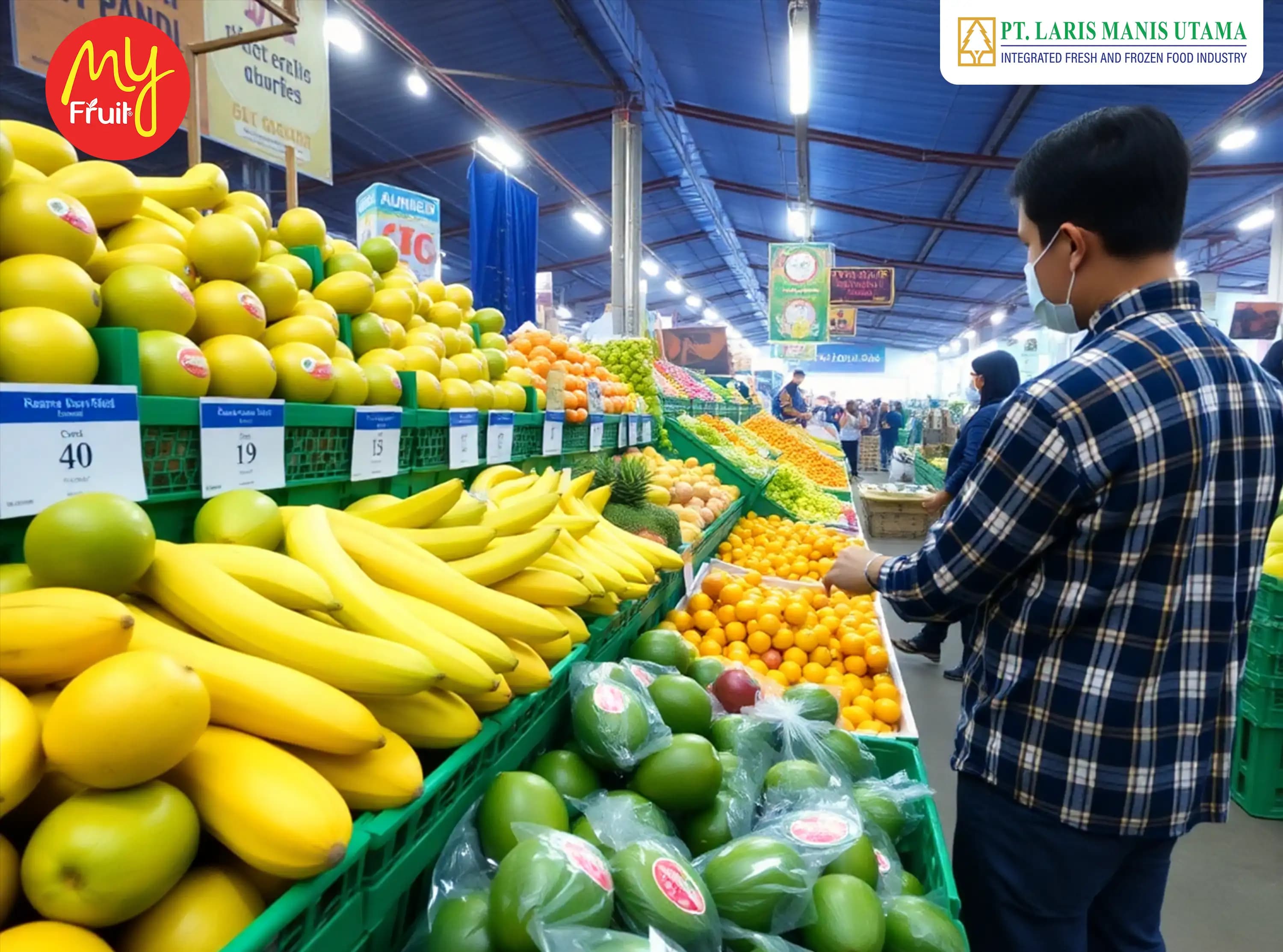 Importir Buah dan Perannya dalam Menjaga Kualitas Pasokan Buah di Indonesia