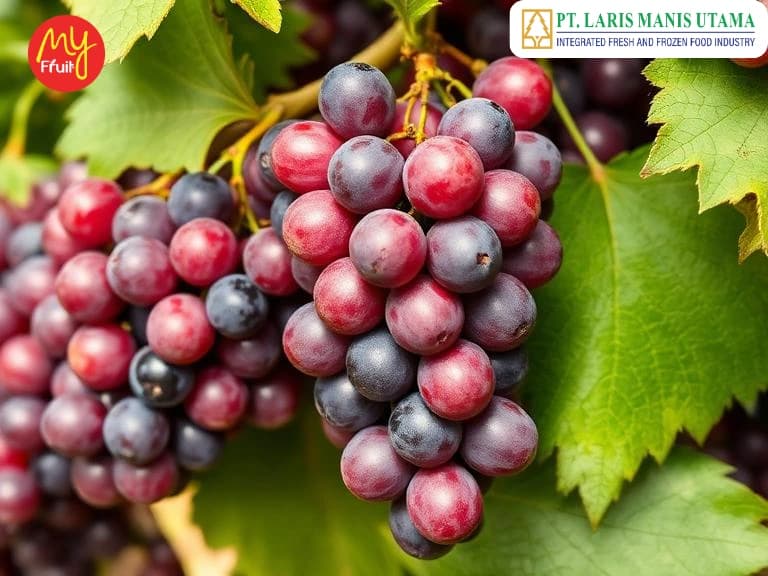 Buah Segar Berkualitas untuk Hidup Lebih Sehat dari PT Laris Manis Utama